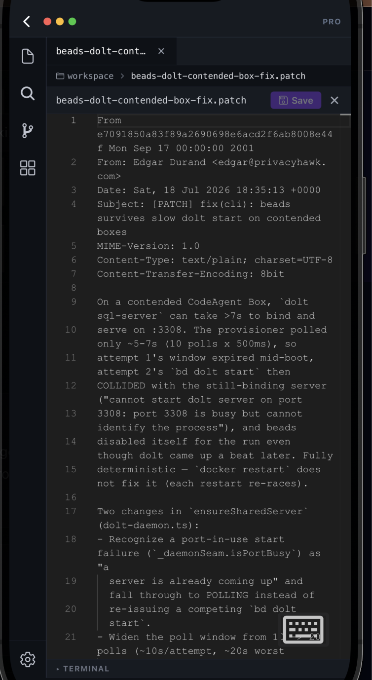 The Monaco editor open on a patch file, with file tabs, a breadcrumb, a Save button, and the sidebar rail