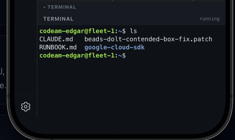 The integrated terminal running a shell in the workspace, showing an ls command and its output